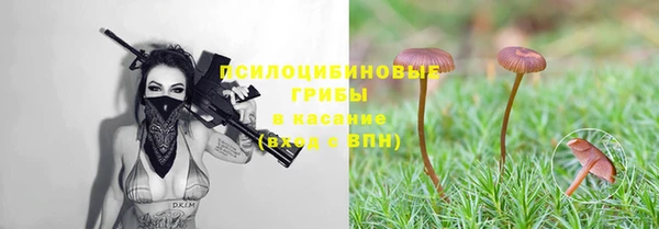 прущая мука Баксан
