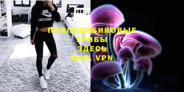 тгк Балахна
