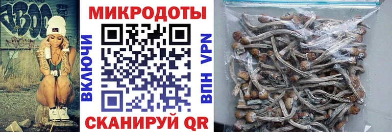 Галлюциногенные грибы мухоморы Кемь