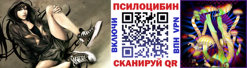 Псилоцибиновые грибы Psilocybe  Кемь 